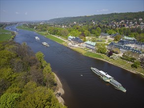 Steamship parade of historic paddle steamers in front of Pillnitz Palace