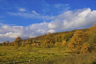 (Copyright Â©www.dresden fotografie.de) (Sylvio Dittrich +49 1772156417) Pillnitz Palace Park