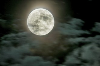 Full moon over Dresden. Fast-moving clouds are illuminated in the night sky by the still low moon