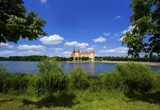 Moritzburg Baroque Palace