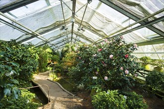 Zuschendorf Country Castle Camellia Show