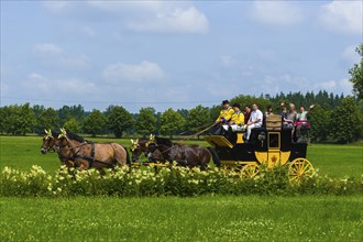 8th stagecoach meeting in Grillenburg