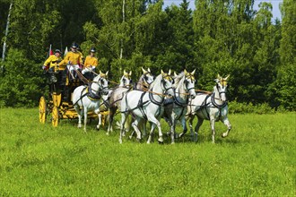 8th stagecoach meeting in Grillenburg