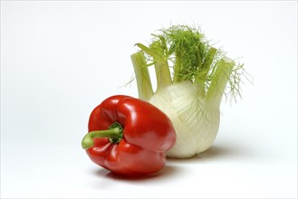 Fresh vegetables, fennel, red pepper