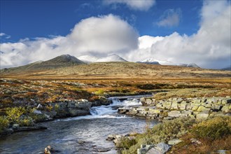 Autumnal mountain landscape with river Store Ula, Rondane National Park, Norway, Europe