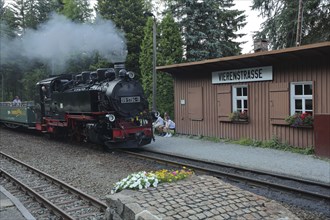 Steam train with steam locomotive of the Fichtelbergbahn, Vierenstrasse, Neudorf, Sehmatal,