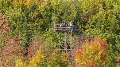 The Forest Botanical Garden Tharandt is an institution of the Technical University of Dresden and