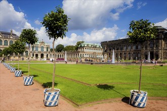 Dresden Zwinger Lemon Trees in the Pleasure Garden