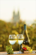 The wine-growing region of Saxony is one of the smallest and the most easterly wine-growing region