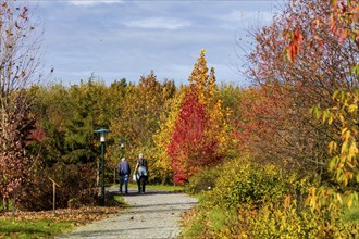 The Forest Botanical Garden Tharandt is an institution of the Technical University of Dresden and