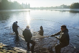 Fishing of the castle pond in Moritzburg