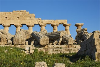 Temple A, Dioscuri temple, row of columns, column remains, Selinunte, archaeological site, temple,