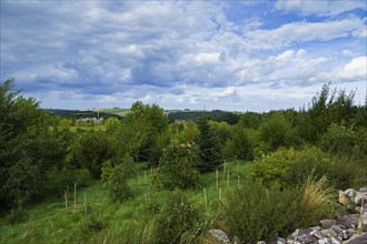 The Forest Botanical Garden Tharandt is an institution of the Technical University of Dresden and