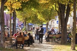 Altkötzschenbroda village green with numerous restaurants and quaint pubs