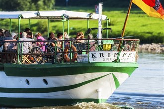 Steamship on the Elbe in Dresden