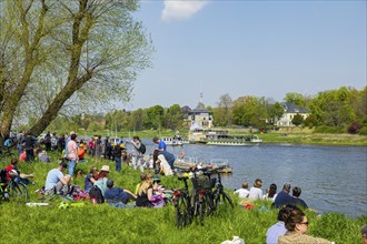 Steamship parade of the historic paddle steamers