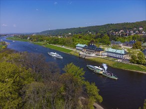 Steamship parade of historic paddle steamers in front of Pillnitz Palace