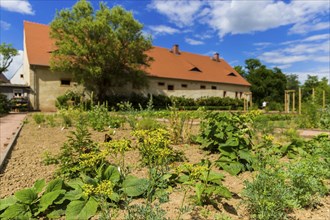 DEU Saxony Klosterbuch Buch Monastery is a former Cistercian monastery founded as St. Mary's