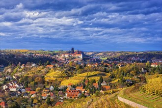 View from the Spaargebirge to Meissen