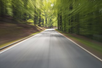 Ride on road through spring forest, Amorbach, Odenwald, Bavaria, Germany, Europe