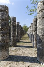 Group of a Thousand Columns, Chichen Itza, Mayan ruins, Yucatan, Mexico, Central America