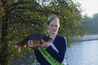 Fishing of the castle pond in Moritzburg