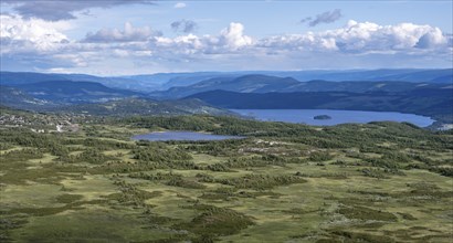 Tundra landscape with birch forests and lakes, Fjell, Oystre Slidre, Jotunheimen National Park,