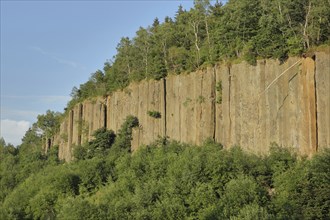 Organ pipes with basalt columns, Scheibenberg, rock, rock formations, rock, cliffs, rock face,