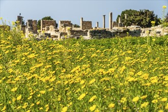 Sanctuary of Apollo Hylates in the ancient city of Kourion, Episkopi, Cyprus, Europe