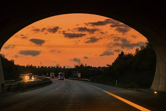 Wildlife bridge on the A17 in the evening. A green bridge or wildlife bridge is a bridge that