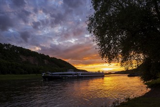 Evening atmosphere on the Elbe in Meissen