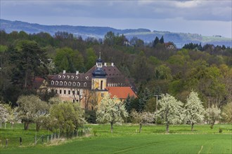 Zuschendorf Castle