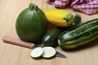 Various courgettes (Cucurbita pepo), courgette convar. giromontiina