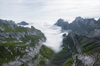 View of mountain peaks above the sea of clouds, Säntis mountains and valley of Meglisalp, high fog,