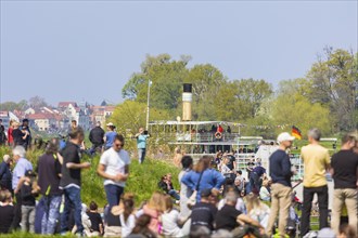 Steamship parade of the historic paddle steamers