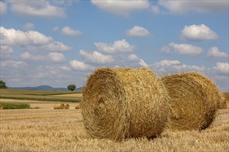 Stubble field with straw rolls, Palatinate, Rhineland-Palatinate, Germany, Europe