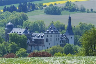 Mylau Castle