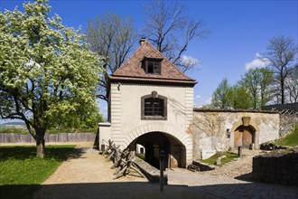 Stolpen Castle in spring