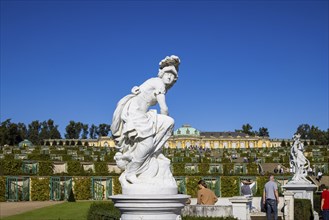 Sanssouci Palace, Royal Summer Palace with 18th century furniture and famous vineyard terraces