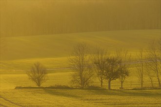 Fields around Possendorf in the Eastern Ore Mountains