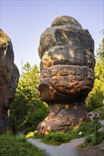 The Kelchstein is a mushroom rock in the Zittau Mountains near Oybin in Saxony and is part of the