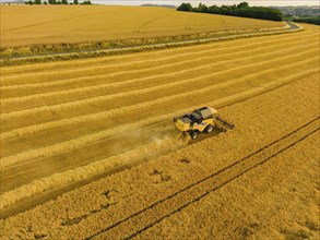 Grain harvest in a field near Babisnau on the outskirts of Dresden