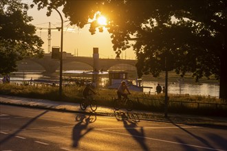 Cyclists on the Elbe cycle path in the light of the setting sun