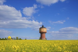 Mittweida Water Tower