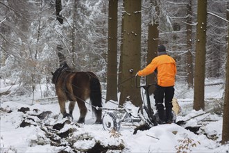 Winter in the Ore Mountains