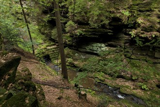 Amselgrund in Saxon Switzerland