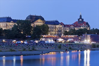 Film Nights on the banks of the Elbe