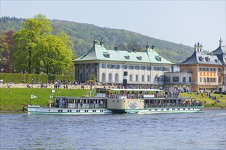 Steamship parade of historic paddle steamers in front of Pillnitz Palace