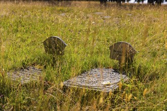 Herrnhut God's field