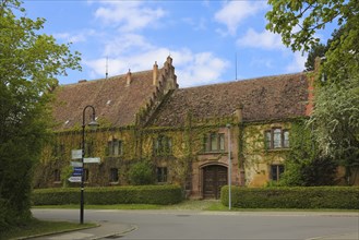 Dotternhausen Castle, Cotta's Castle, Dotternhausen Castle, historic building, aristocratic